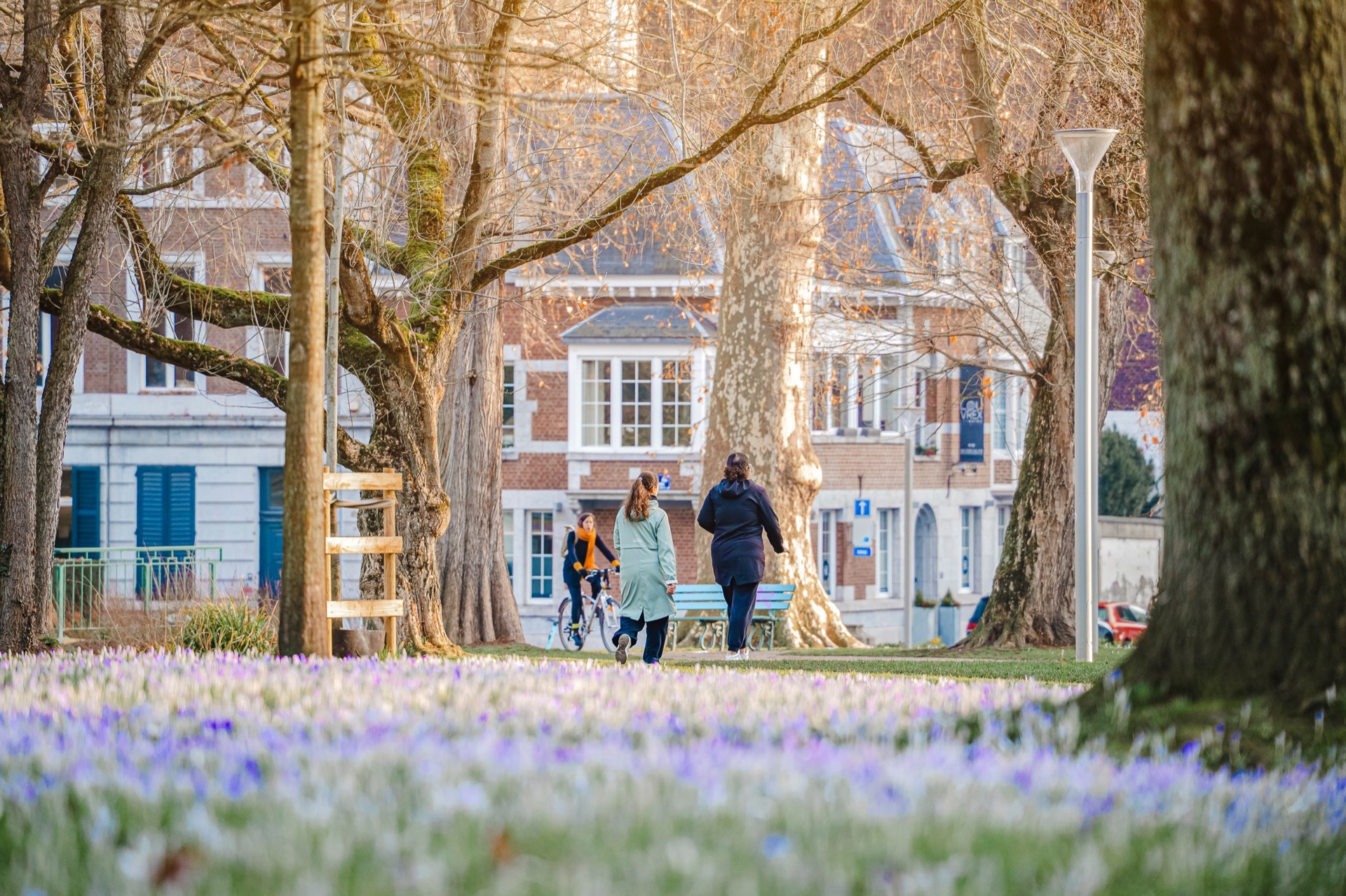Parc de Liège au printemps avec crocus